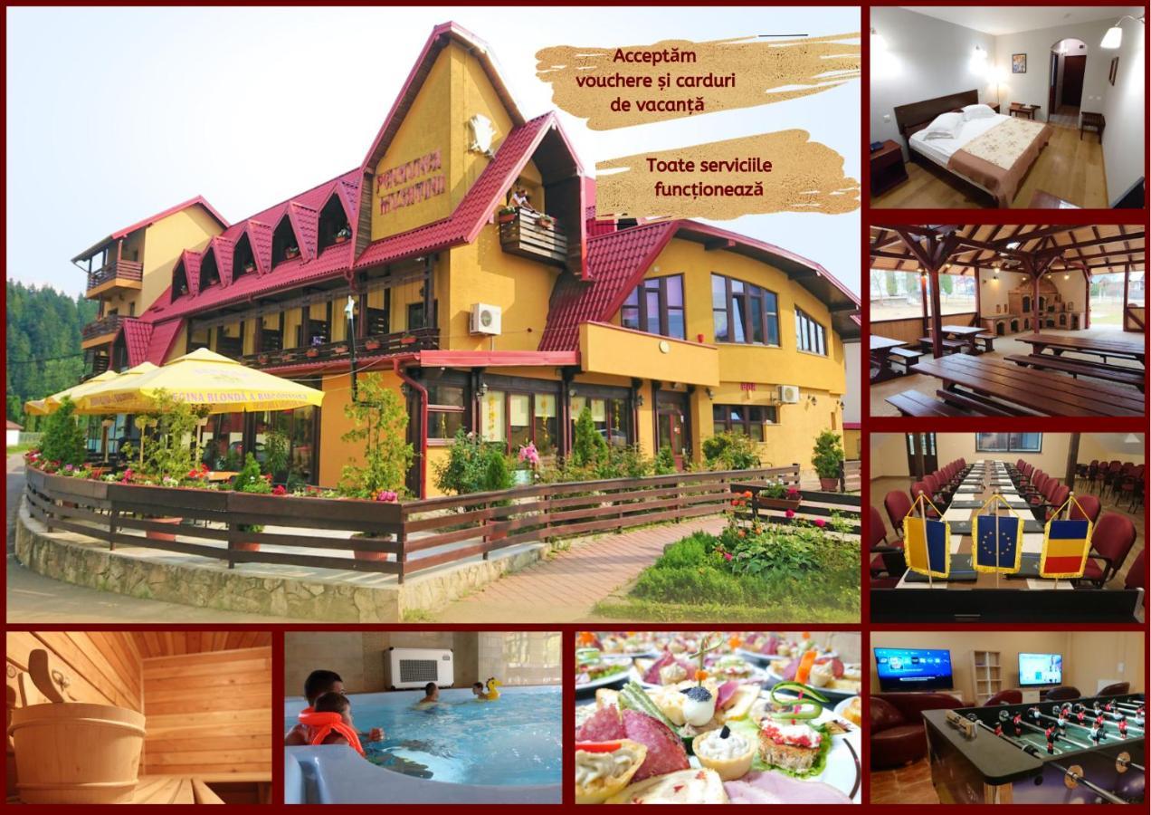 Pensiunea Musatinii 4*