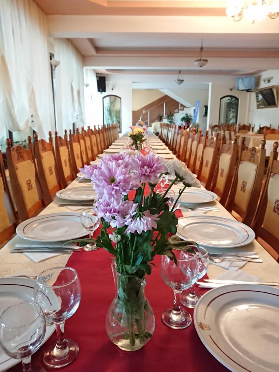 Pensiunea Musatinii Gasthof
